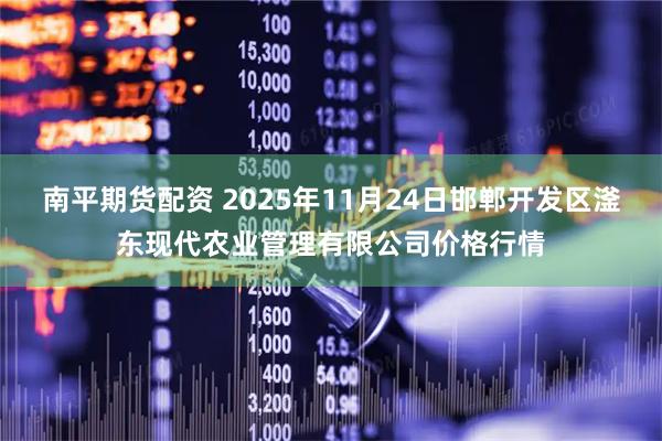 南平期货配资 2025年11月24日邯郸开发区滏东现代农业管理有限公司价格行情
