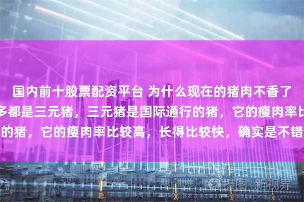 国内前十股票配资平台 为什么现在的猪肉不香了？我们现在吃的猪肉很多都是三元猪，三元猪是国际通行的猪，它的瘦肉率比较高，长得比较快，确实是不错的选择